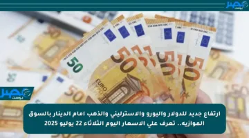 ارتفاع جديد للدولار واليورو والاسترليني والذهب أمام الدينار بالسوق الموازية.. تعرف على الأسعار اليوم الثلاثاء 22 يوليو 2025